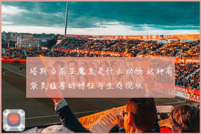 塔斯马尼亚魔鬼是什么动物 这种有袋类猛兽的特征与生存现状
