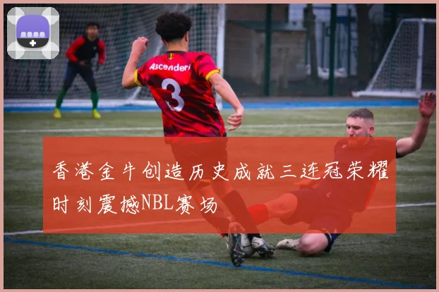 香港金牛创造历史成就三连冠荣耀时刻震撼NBL赛场