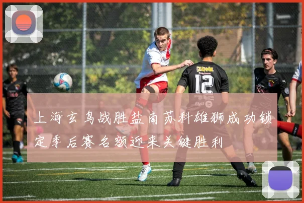 上海玄鸟战胜盐南苏科雄狮成功锁定季后赛名额迎来关键胜利
